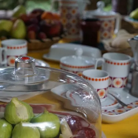 Bed & Breakfast Mediterrando San Litardo