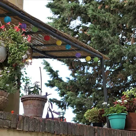 Mediterrando Bed & Breakfast 3*
