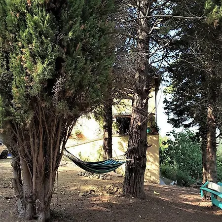 Bed & Breakfast Mediterrando